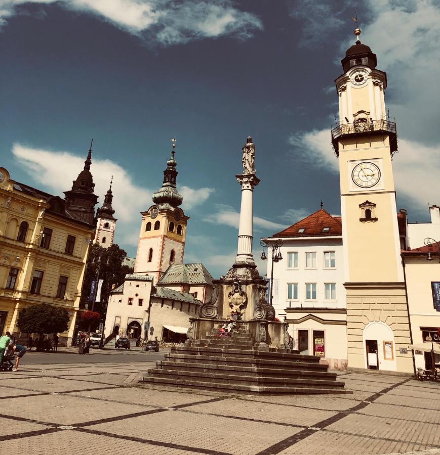 Bl - The Penthouse, 24Hr Self Check-In, 2 Bedrooms, Fireplace, Ac, Panoramic View From Main Balcony, 3-Minute Walk To City Center Banská Bystrica Exterior foto